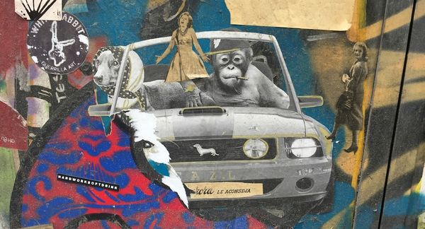 The Week in Culture (August 14th)